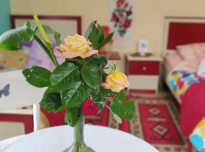 Private Historic Center 3*