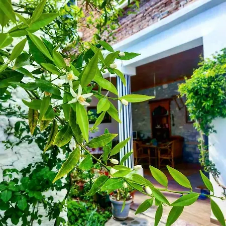 Private Historic Center Pensión 3*