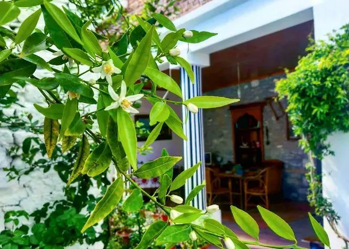 Private Historic Center Guest house 3*
